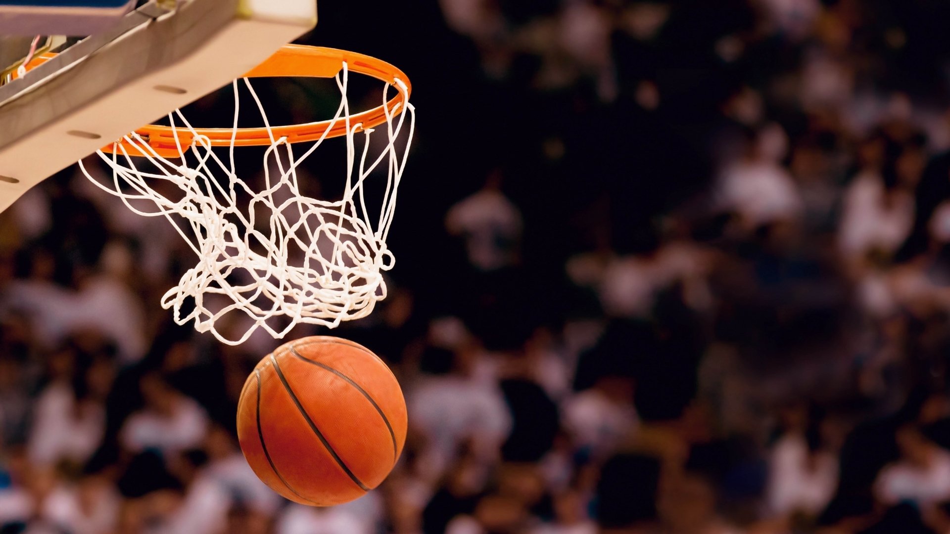 郁金香凋零于极光之下,挪威绝杀荷兰,G组上演铁血对决